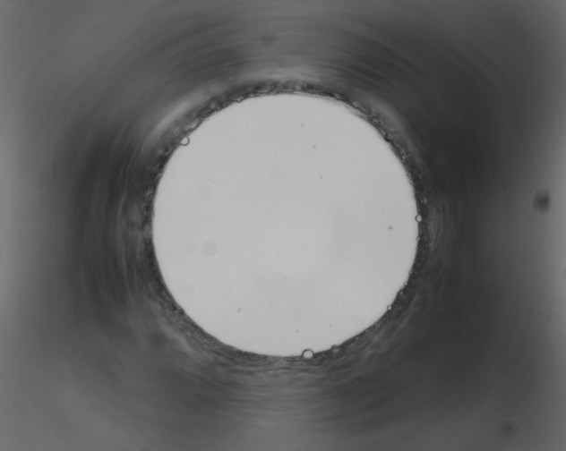 X0000115761064200912241724