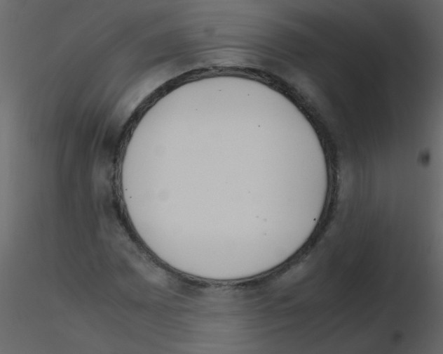 X0000115761065200912241724