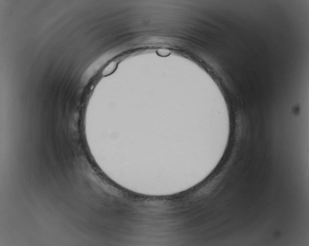 X0000115761066200912241724