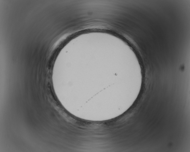 X0000115761067200912241724
