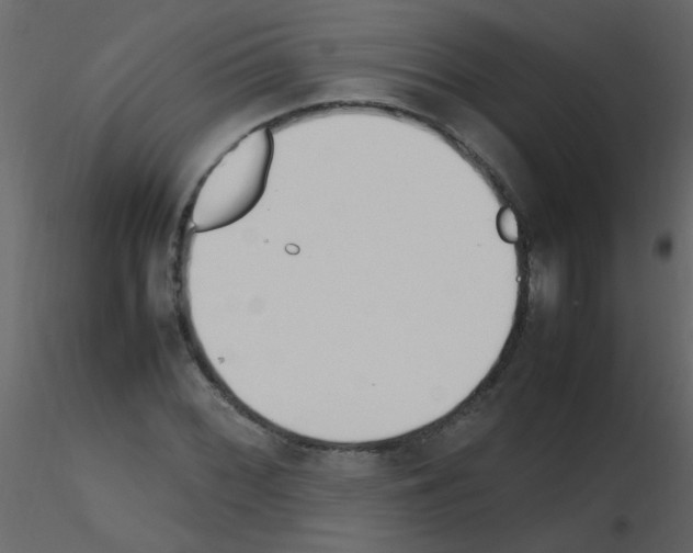 X0000115761068200912241724