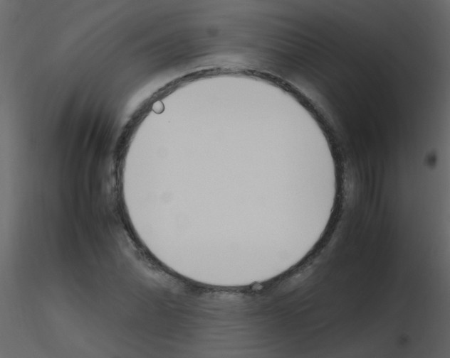 X0000115761070200912241724
