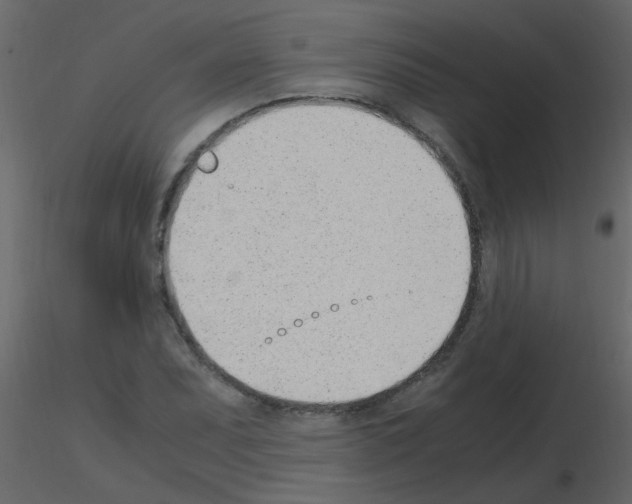 X0000115761071200912241724