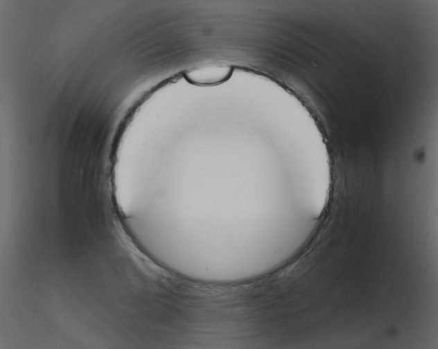 X0000115761072200912241724