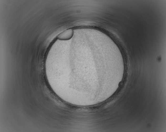 X0000115761073200912241724