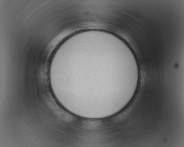 X0000115761074200912241724