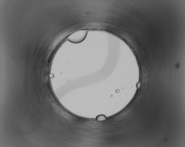 X0000115761075200912241724