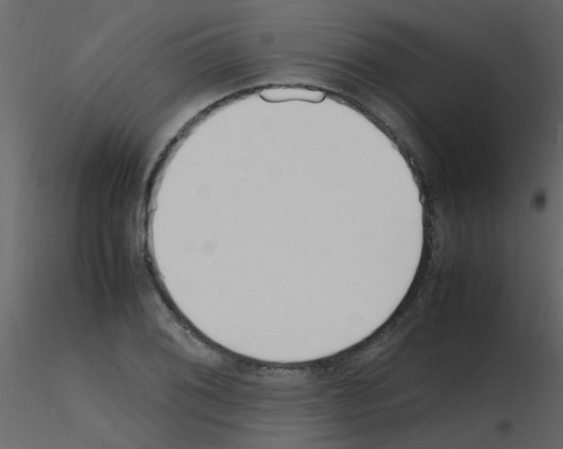 X0000115761076200912241724