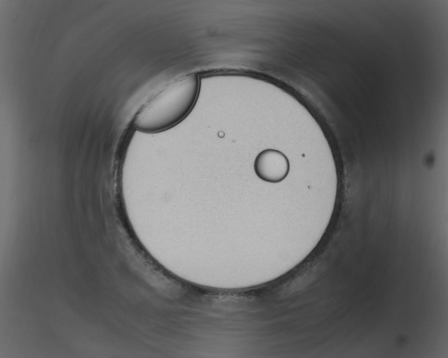 X0000115761077200912241724