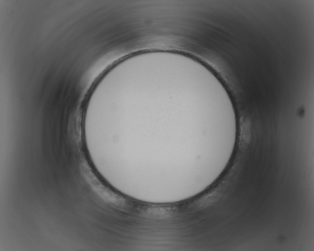 X0000115761078200912241724