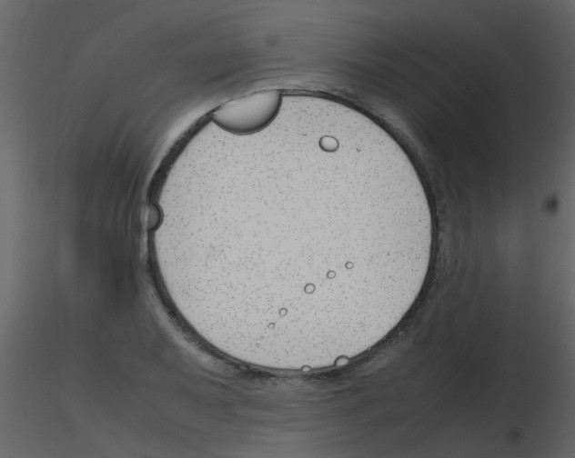X0000115761079200912241724