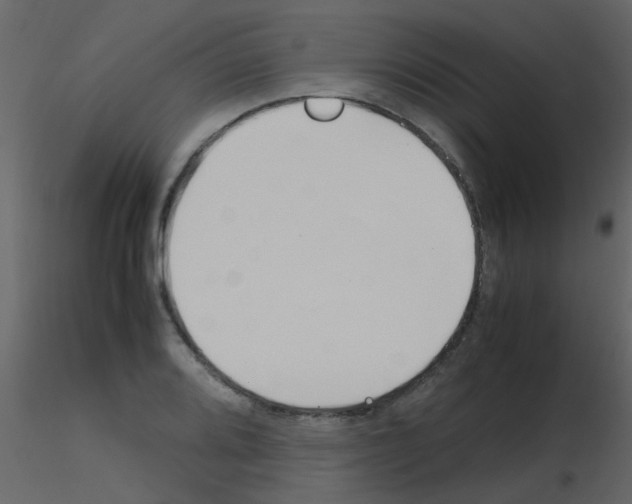 X0000115761080200912241724