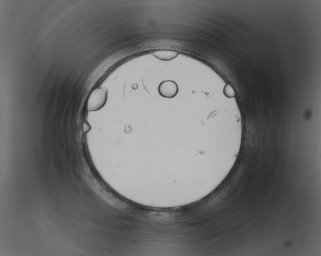 X0000115761082200912241724