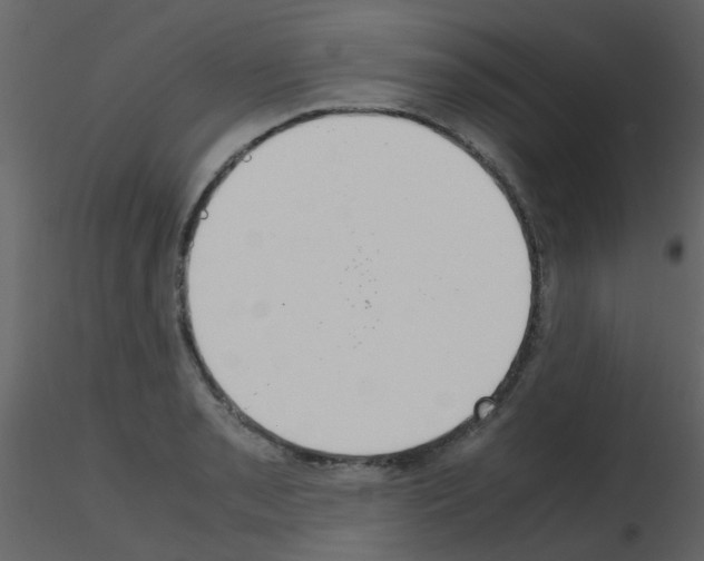 X0000115761085200912241724