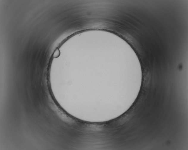 X0000115761086200912241724
