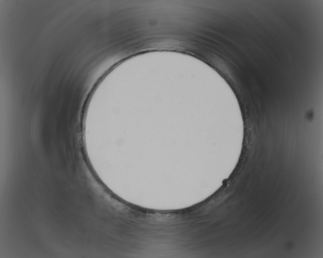 X0000115761087200912241724