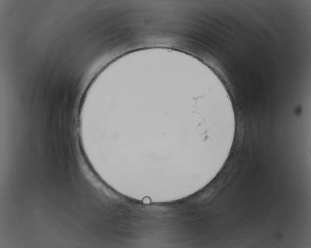 X0000115761088200912241724