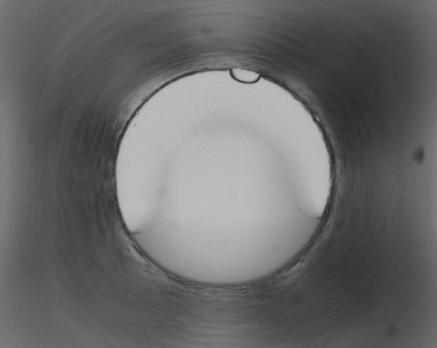 X0000115761089200912241724