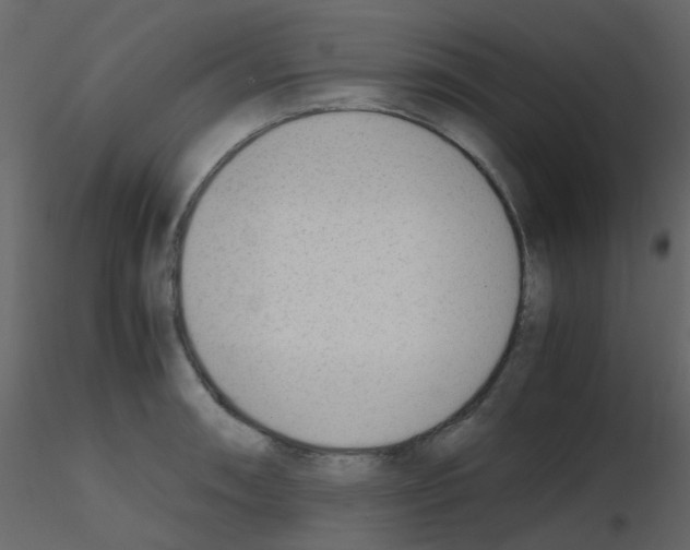 X0000115761090200912241724