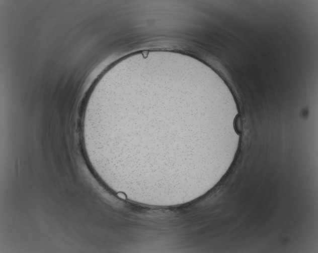 X0000115761091200912241724