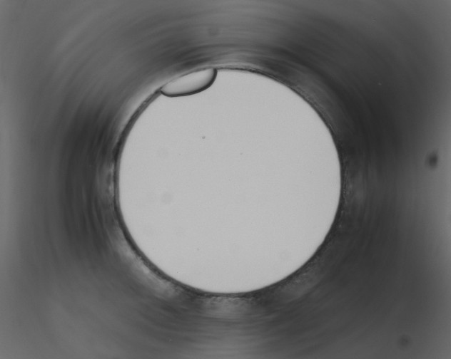 X0000115761092200912241724