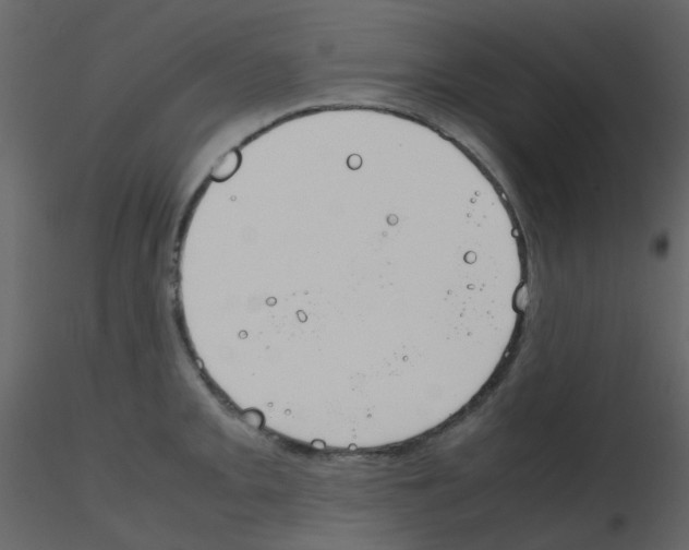 X0000115761093200912241724