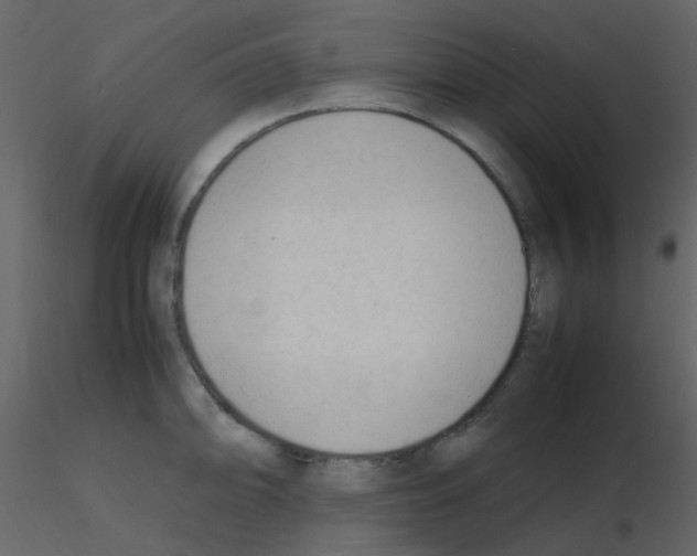 X0000115761094200912241724