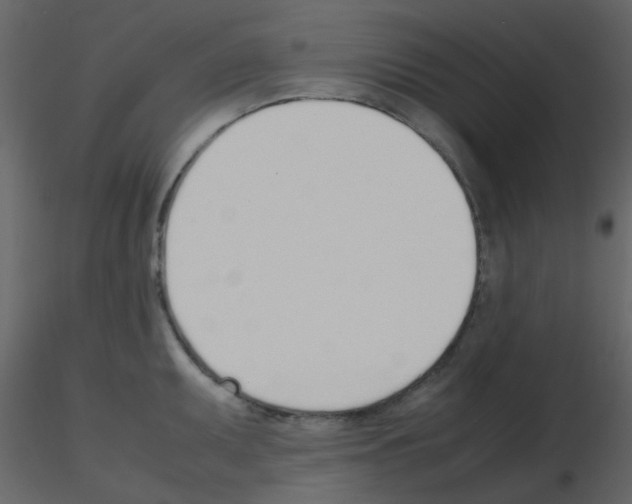 X0000115761095200912241724
