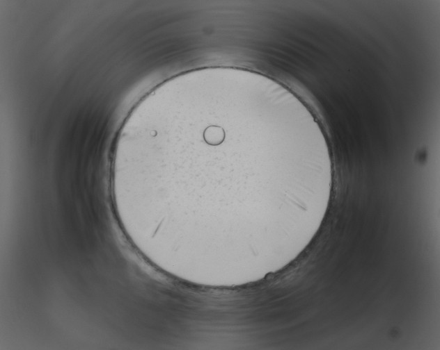 X0000115761096200912241724