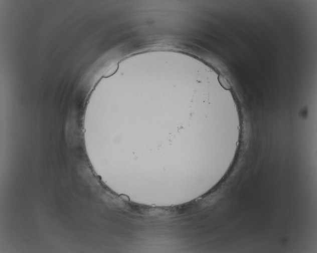 X0000115761097200912241724