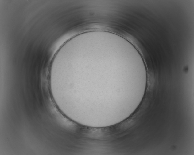 X0000115761098200912241724
