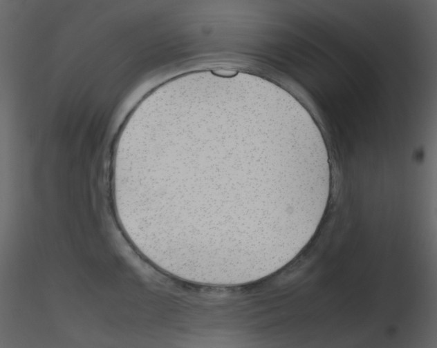 X0000115761099200912241724