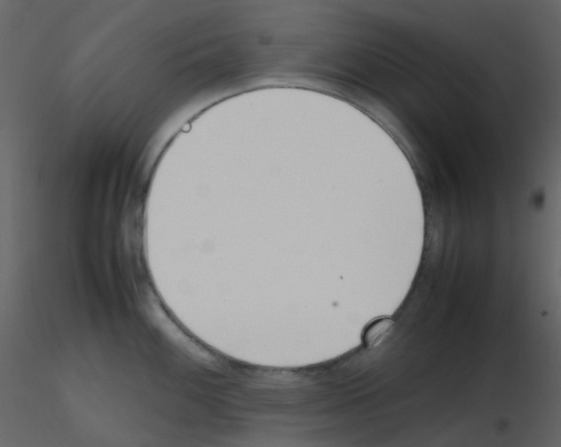 X0000115761100200912241724