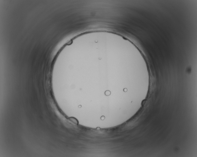 X0000115761101200912241724