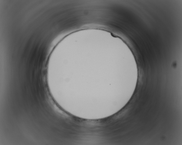 X0000115761102200912241724