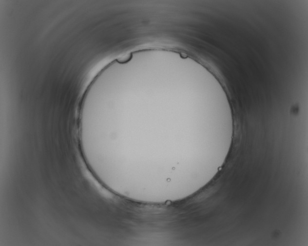 X0000115761103200912241724
