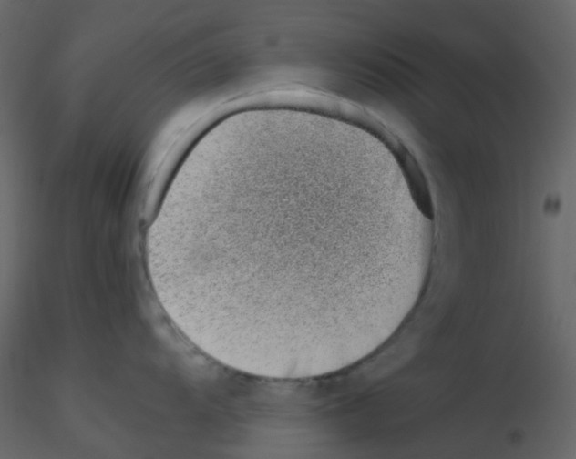 X0000115761104200912241724