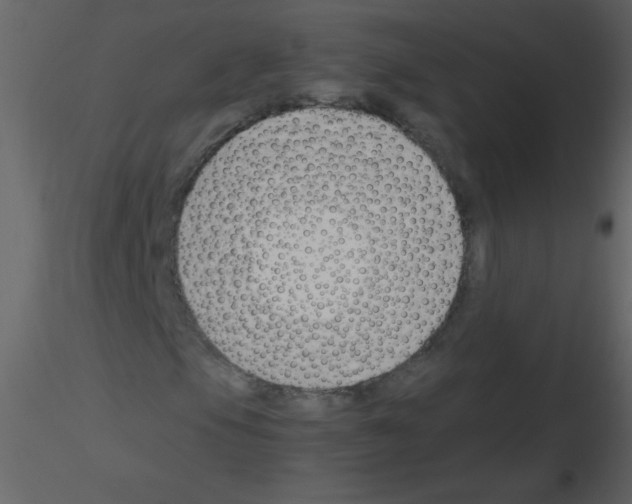 X0000115761105200912241723