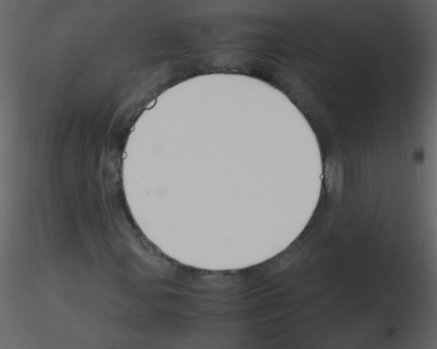 X0000115761107200912241723