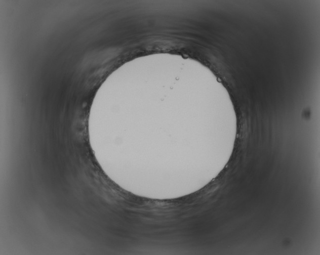 X0000115761109200912241723