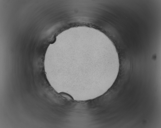 X0000115761110200912241723