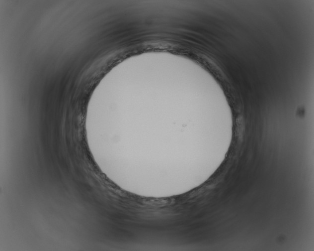 X0000115761111200912241723