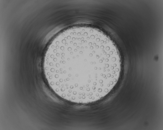 X0000115761113200912241723