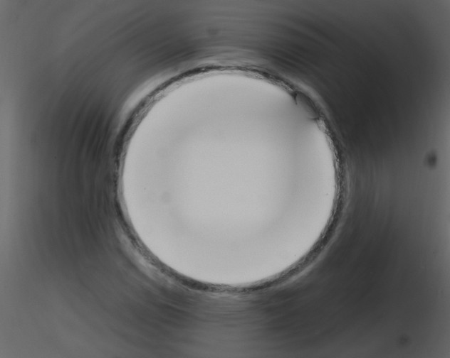 X0000115761114200912241723