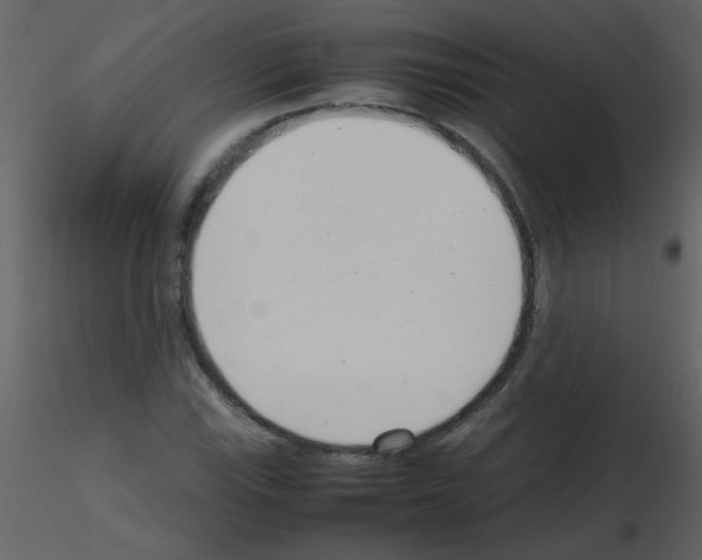 X0000115761115200912241723