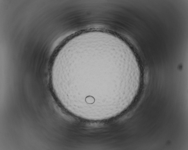 X0000115761117200912241723