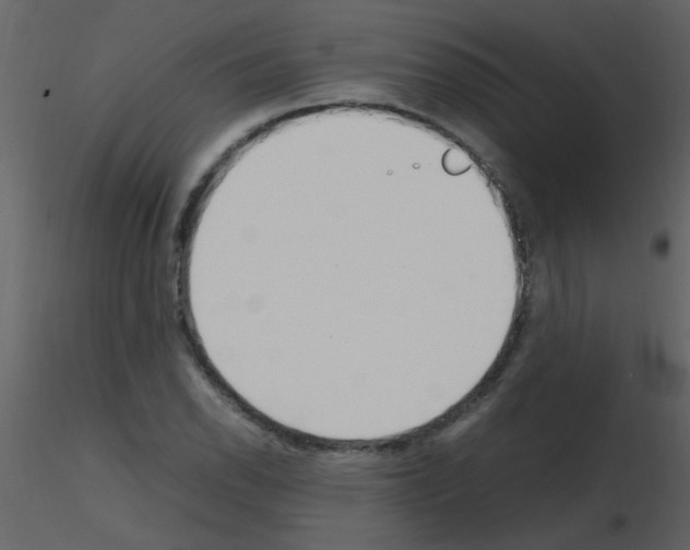X0000115761118200912241723
