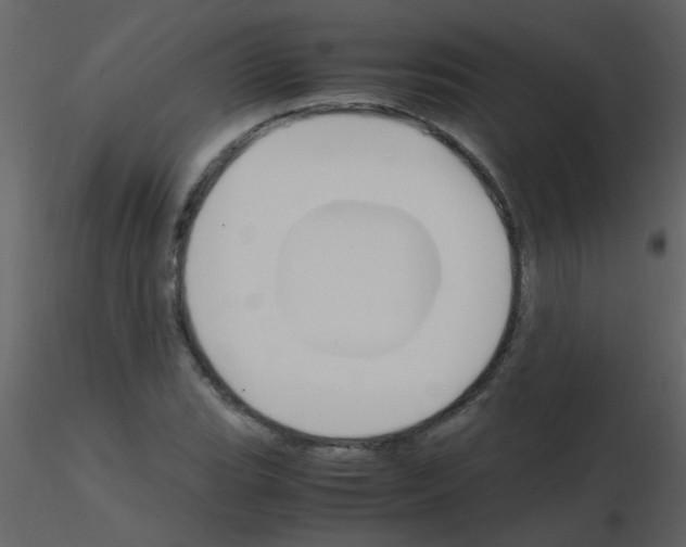 X0000115761119200912241723