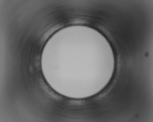 X0000115761121200912241723