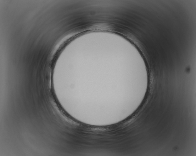 X0000115761123200912241723